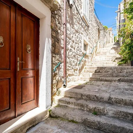 Marta ツァヴタット